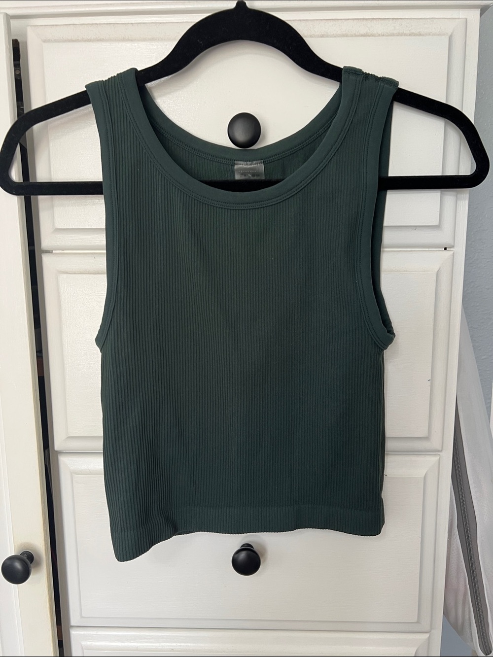 Aritzia Sunday Best Ribbed Tank in Forest Green